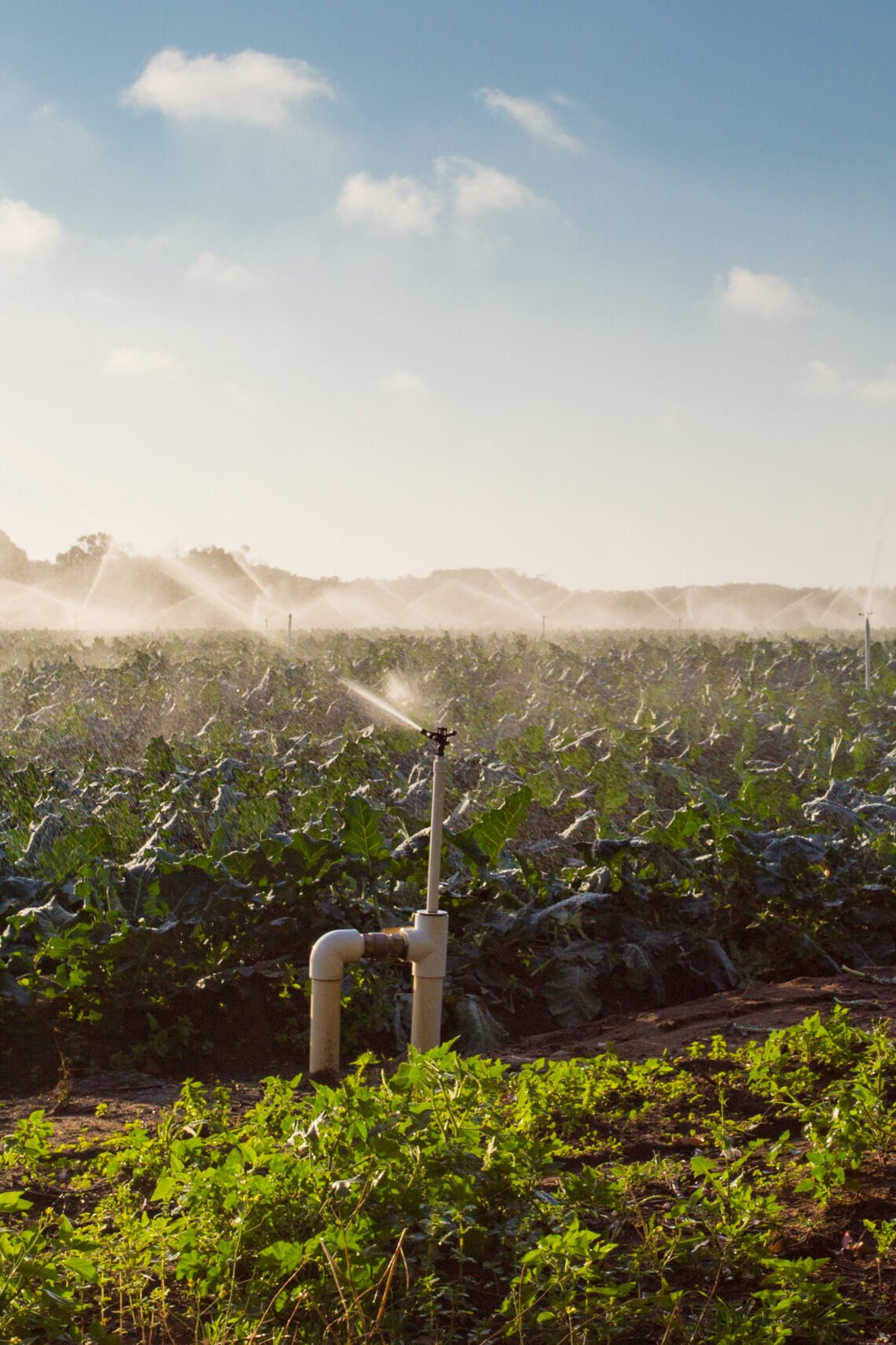 Crop sprayers in action in Mornington Peninsula, Victoria, Australia